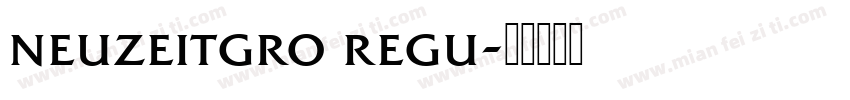 neuzeitgro regu字体转换